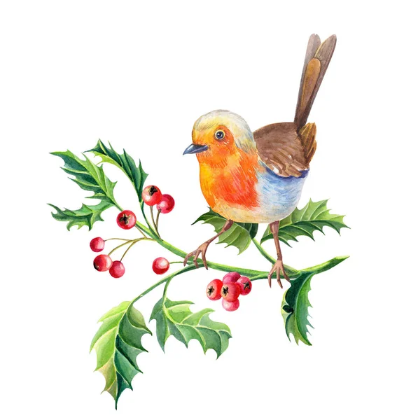 Akwarelowy ptak Robin. Ilustracja noworoczna.Akwarela Wesołych Świąt. — Zdjęcie stockowe