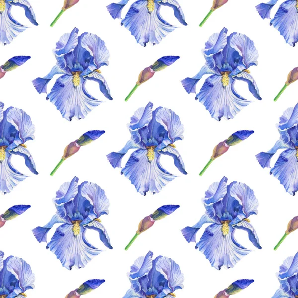 Сині і фіолетові іриси. Акварельні квіти на білому тлі. Ілюстрація. Безшовний візерунок — стокове фото