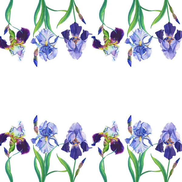 Modrá, fialové duhovky a růžové lupiny.Akvarelové květy, listy na bílém pozadí.Květinový rám. — Stock fotografie
