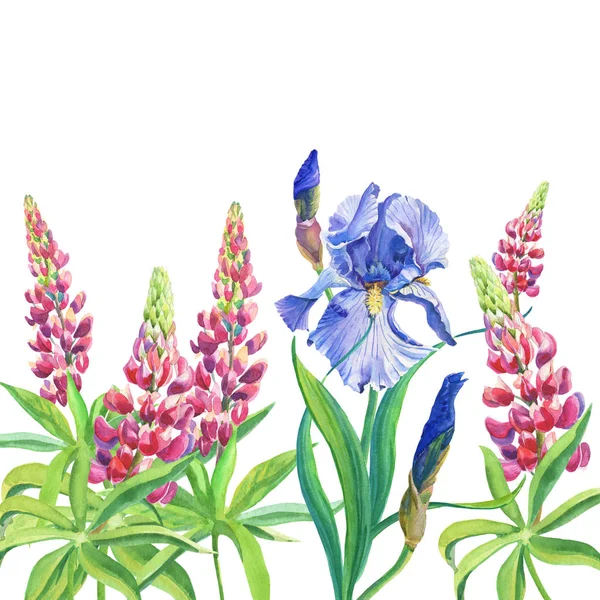 Mavi ve mor süsen çiçekleri. Pembe lupin. suluboya çiçekleri ve yapraklar beyaz arka planda.. — Stok fotoğraf