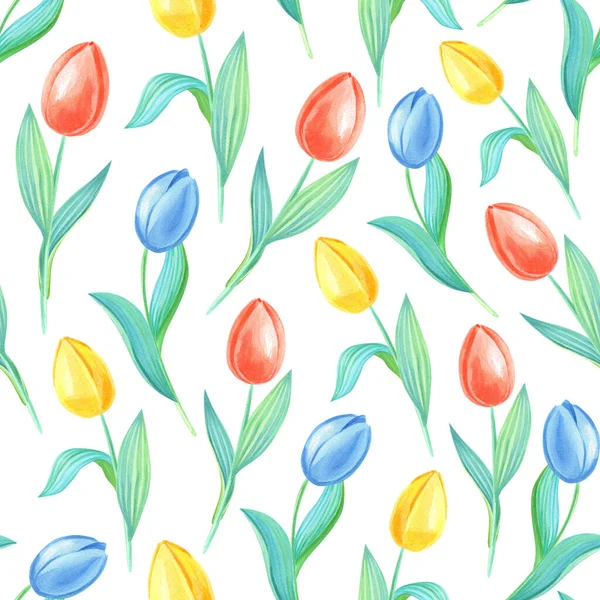 Sarı, kırmızı, mavi laleli suluboya yay deseni. Beyaz arka planda çiçekler.