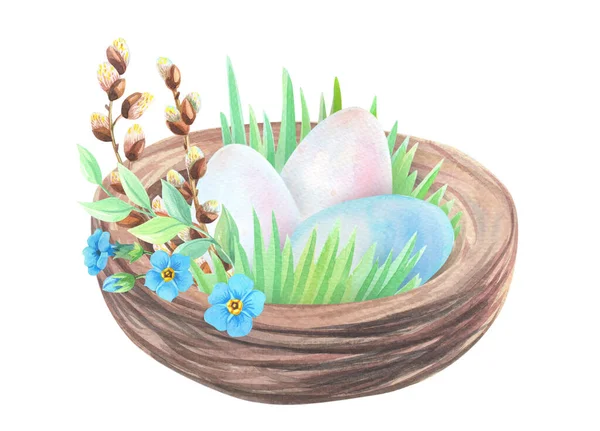 Акварель гнездо с пасхальными яйцами, ивой, нарциссами, забывчивости.Пасхальная иллюстрация с цветами — стоковое фото