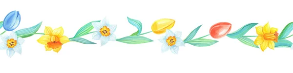 Watercolor seamless border with spring narcissus flowers.Watercolour illustration — Stockfoto