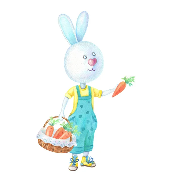 Watercolor Bunny Clothes Wicker Basket Carrot His Paws Watercolour Illustration — Stock Photo, Image