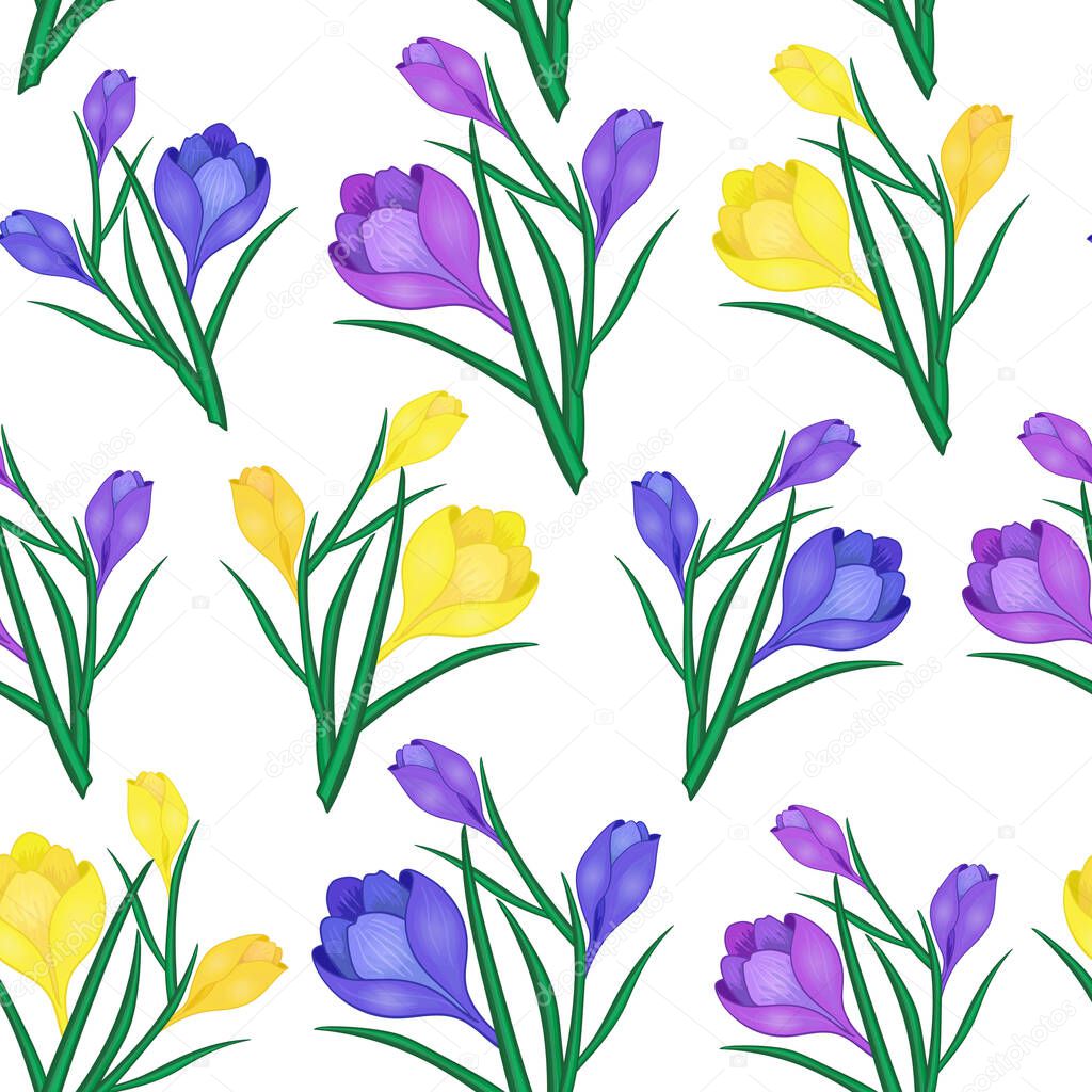 Beautiful spring seamless pattern with Yellow,blue crocuses.The flowers of saffron on a white background.