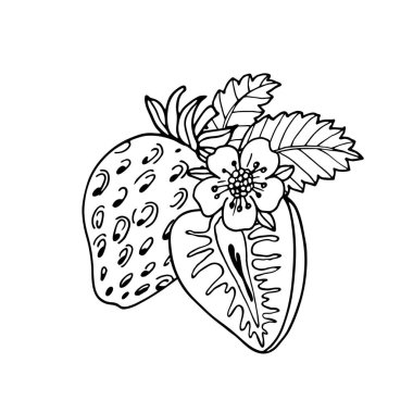 Tatlı karikatür çilekleri, çiçek ve yaprak. Renklendirme kitabı için meyveli siyah ve beyaz vektör çizimi. Etiketler, posterler, web tasarımı için Izolated doodle berry.