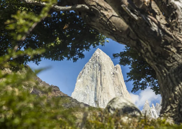Fitz-roy tower in patagonia Through the leaves — Stock Photo, Image