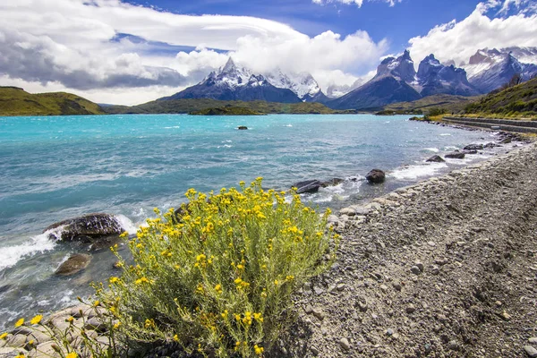 Patagonya Dağları uzanır, gün ışığından yararlanma kıyı mavi göl ve sarı bush ile — Stok fotoğraf