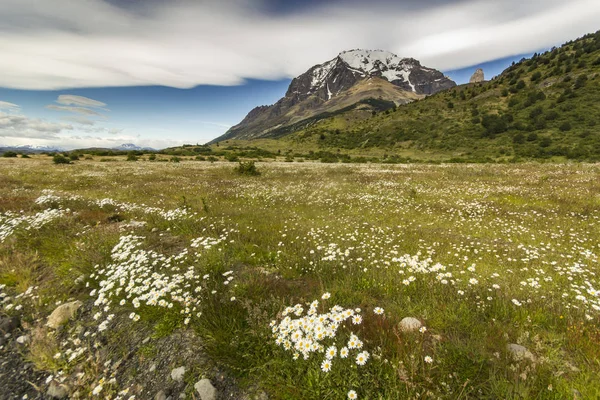 Caminho nas montanhas da patagônia com belas nuvens lenticulares — Fotografia de Stock