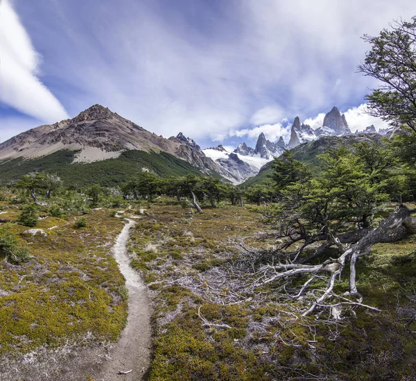 Szlak w lesie w pobliżu szczyt fitz roy w Patagonii — Zdjęcie stockowe