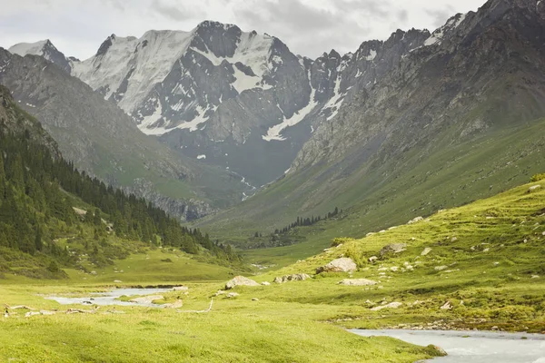 Valle del río con montañas cubiertas de nieve y campos verdes y bosques en las laderas — Foto de Stock