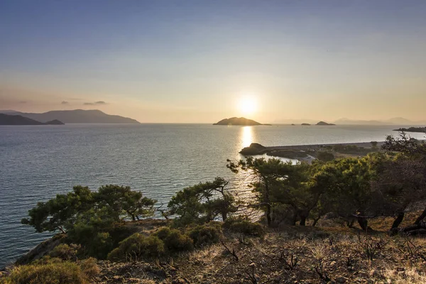 Sol brilhando através de folhas de árvore verde em montanhas com mar azul — Fotografia de Stock