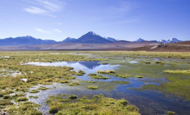 yüksek tepeler ve sarı çim çevrili dağ gölü yansıtma yüzeyi