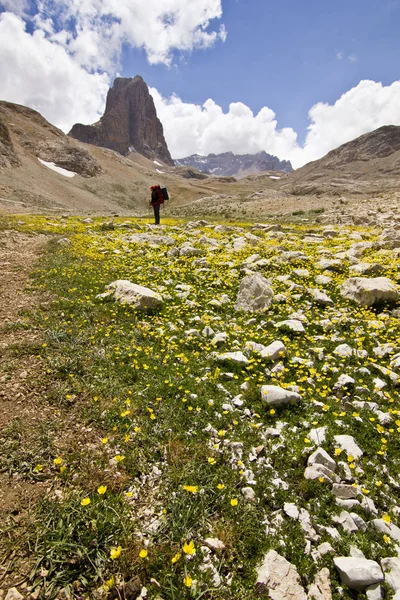 Excursionista en el campo verde con gran roca en las montañas de Turquía — Foto de Stock