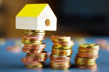 Ekonomi ve Finans - bir yığın ve müstakil bir ev modeli için ipotek ve househols giderleri - Çek taç para - para tasarrufu paralar