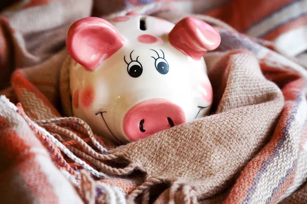 economy and finance - expenses money for heating and electrical energy - piggy bank in a warm scarf
