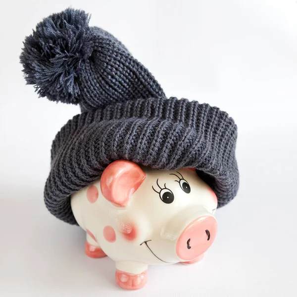 economy and finance - expenses money for heating and electrical energy - piggy bank with warm hoods