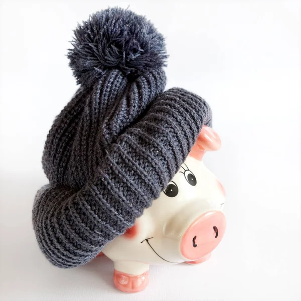 economy and finance - expenses money for heating and electrical energy - piggy bank with warm hoods
