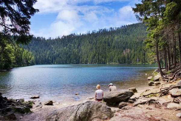 Ghiacciato Lago Devil Certovo Jezero Sumava Montagne Boemia Meridionale Repubblica — Foto Stock