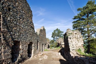 gothic medieval ruins of castle Kamyk, Kamyk nad Vltavou, Central Bohemian region, Czech republic  clipart