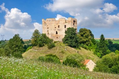 gothic castle Krakovec from 1383 near Rakovnik, Czech republic clipart