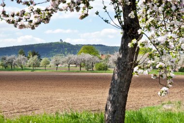 Radyne kalesinin yakınındaki Pilsen bahar peyzaj, Çek Cumhuriyeti