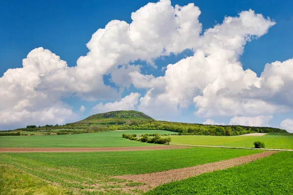 Colina mística nacional Rip, Bohemia Central, República Checa - paisaje de primavera con campos verdes y cielo azul con nubes — Foto de Stock