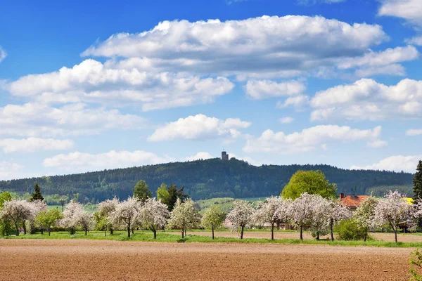 Ruins of Radyne castle near Pilsen in the spring landscape, Czech republic — Stock Photo, Image