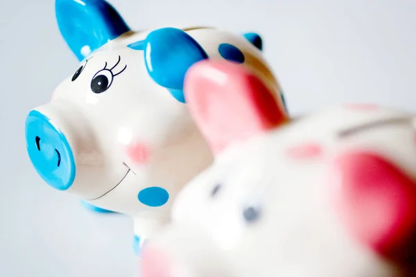 Economy and finance - savings in a money box - two pink and blue piggy banks — Stock Photo, Image