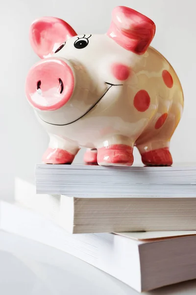 Economy and finance - savings in a piggy bank for education and school fee — Stock Photo, Image