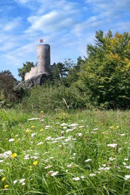 romantik kalıntıları Gotik kaleden Frydstejn 14 yy, bohem cennet region, Çek Cumhuriyeti
