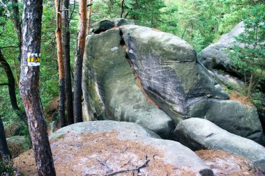 kayalık kasaba Chleviste orman, Sokol (Falcon) tepe, bohem cennet region, Çek Cumhuriyeti