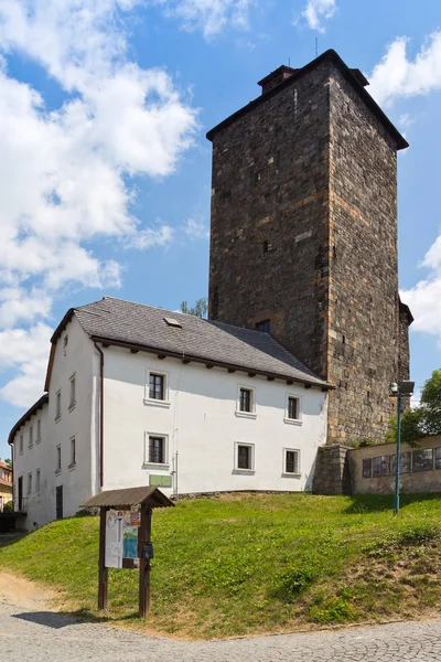 Ротонда и замок 1200 г., г. Тынец-над-Сазавоу, Центрально-Чешская Республика — стоковое фото
