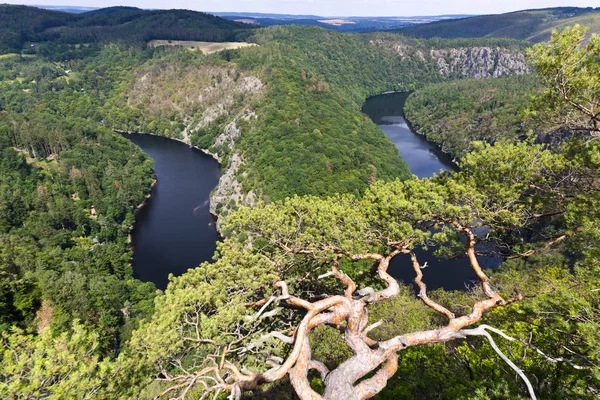 Punto di vista Mai, diga Stechovice sul fiume Moldau, Boemia centrale, Repubblica Ceca — Foto Stock