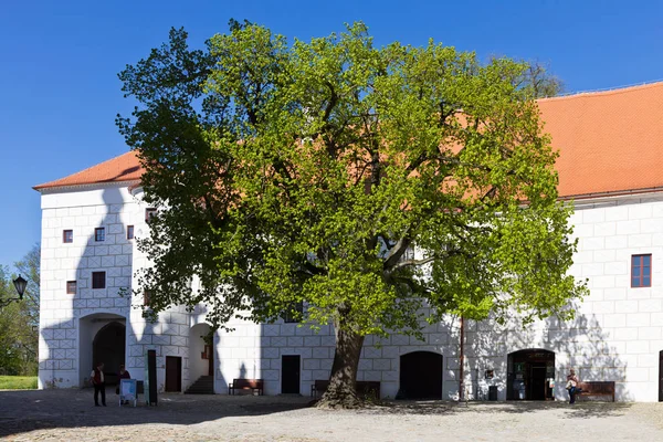 Castillo con museo, Basílica y monasterio de San Procopio, ciudad de Trebic (UNESCO, el asentamiento más antiguo de la Edad Media de la comunidad judía en Europa Central), Moravia, República Checa, Europa — Foto de Stock