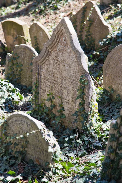 Yahudi mezarlığı, Trebic kasabası (Unesco, Orta Avrupa 'daki en eski Yahudi yerleşimi), Moravya, Çek Cumhuriyeti, Avrupa — Stok fotoğraf