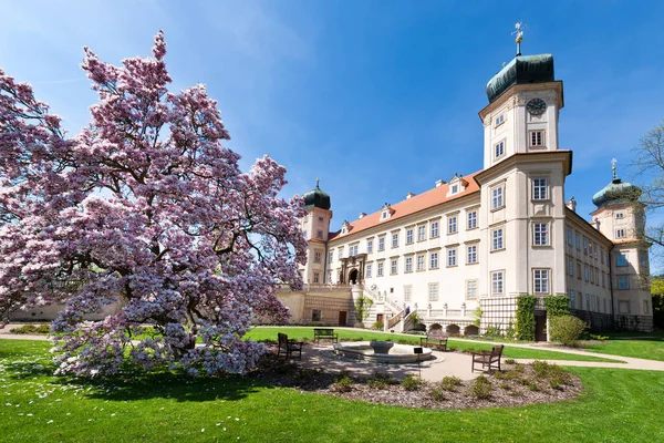 Barroco Castillo Mnisek Pod Brdy Región Central Bohemia República Checa —  Fotos de Stock