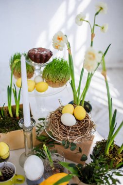 Mutlu Paskalyalar. Paskalya için süslenmiş ahşap beyaz masa. Bir tebrik kartı kompozisyonu: Paskalya yumurtaları, sarı laleler, nergisler, çimenler, parlak bir odadaki beyaz ahşap bir masada bir dal yuvasıdır.. 
