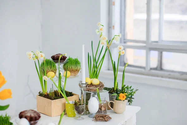 Easter spring decor with fresh yellow flowers, traditional panettone, natural nest with eggs on a wooden white table in a white room with a window, daylight. For greeting card. Place for text