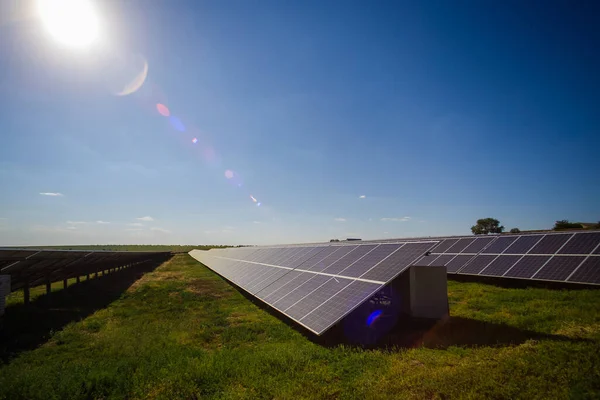 太陽光パネルが列に並び 太陽が空から輝いている — ストック写真