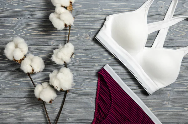 Katoen gestreept slipje en witte beha. Vrouwen lingerie op de wo — Stockfoto