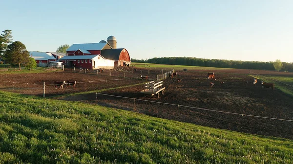 Luchtfoto Van Het Amerikaanse Landschap Boerderij Rode Schuur Koeien Landelijk — Stockfoto