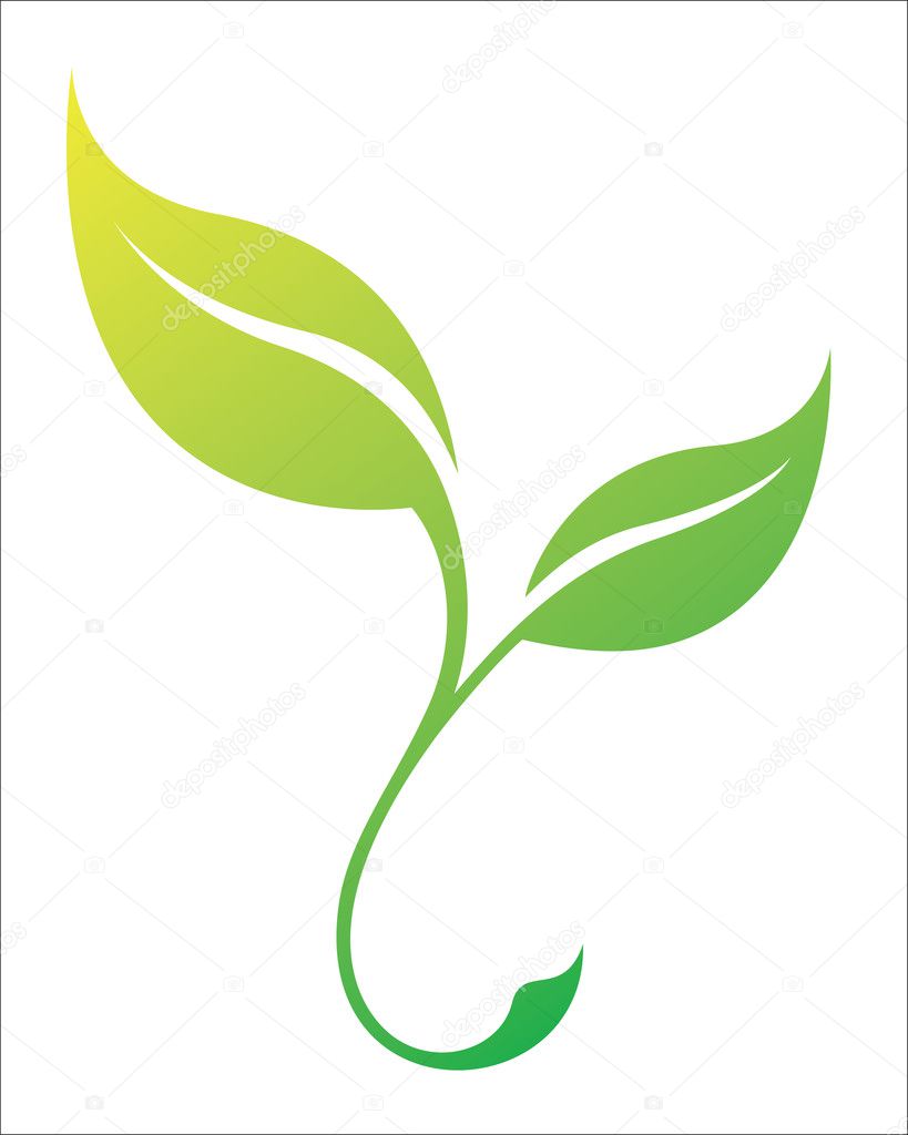 Vector stylized silhouette of spring tree leaf isolated on white