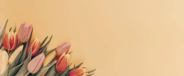 Banner Bouquet Tulips Orange Background Flat Lay Top View Copyspace — Stok fotoğraf