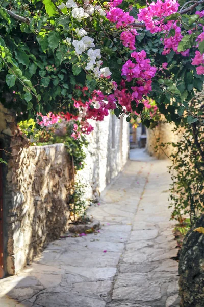 A bougainvillea e estrada antiga na Turquia . — Fotografia de Stock