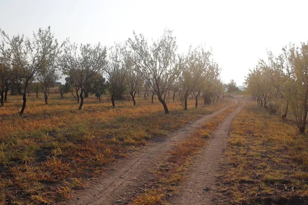 Türkiye'den yola — Stok fotoğraf