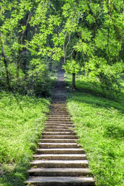 Merdiven büyük uluslararası park.