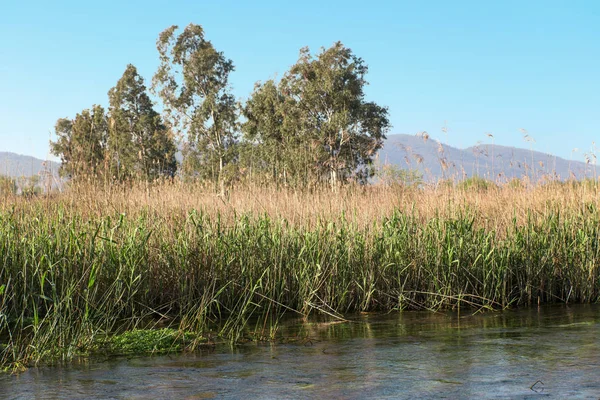 Sazlık Nehri kenarında.