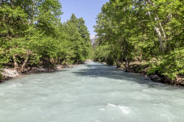 Toros Dağları'nda çınar ağacı ile doğal ve soğuk Nehri.