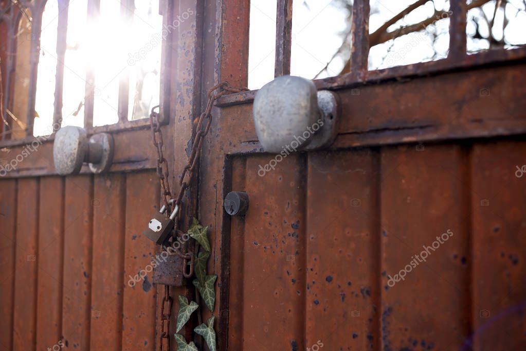 The rusty lock door and green ivy.